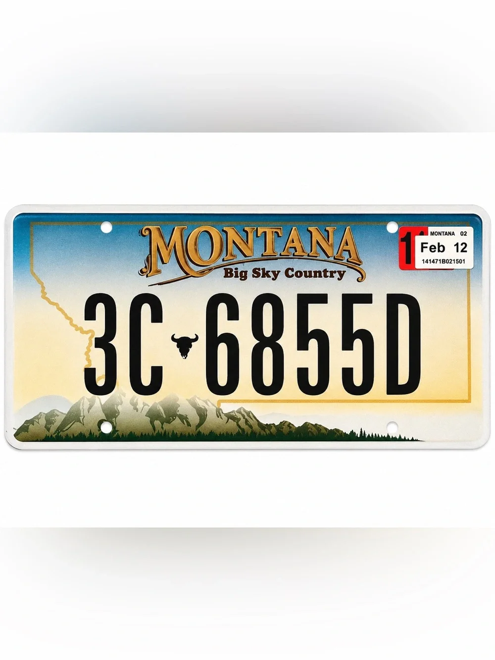 Montana Big Sky Country License Plate